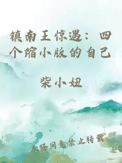 镇南王惊遇：四个缩小版的自己