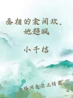 丞相的衾间欢，她超飒