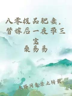 八零极品肥妻，替嫁后一夜孕三宝