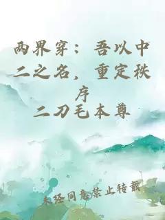 两界穿：吾以中二之名，重定秩序