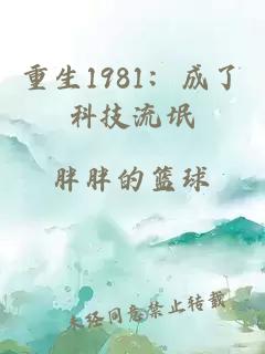 重生1981：成了科技流氓