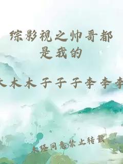 综影视之帅哥都是我的