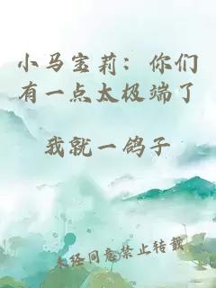 小马宝莉：你们有一点太极端了