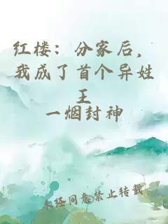 红楼：分家后，我成了首个异姓王