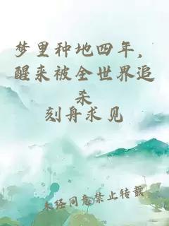 梦里种地四年，醒来被全世界追杀