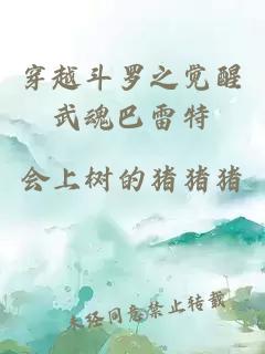 穿越斗罗之觉醒武魂巴雷特