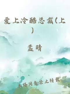 爱上冷酷总裁(上）