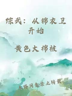 综武：从锦衣卫开始