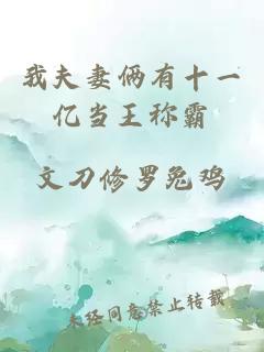 我夫妻俩有十一亿当王称霸