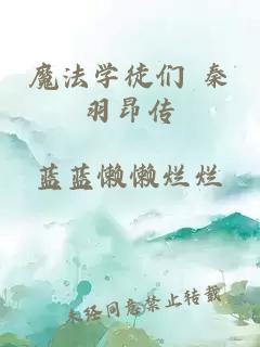 魔法学徒们 秦羽昂传