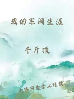 我的军阀生涯