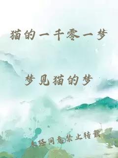 猫的一千零一梦