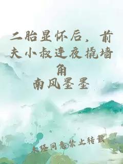 二胎显怀后，前夫小叔连夜撬墙角