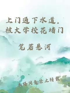 上门通下水道，被大学校花堵门
