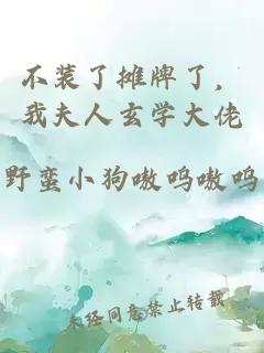 不装了摊牌了，我夫人玄学大佬