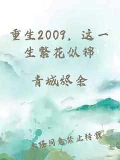 重生2009，这一生繁花似锦