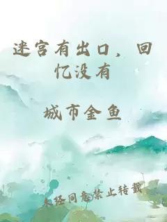 迷宫有出口，回忆没有