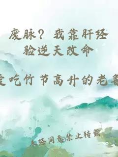 废脉？我靠肝经验逆天改命