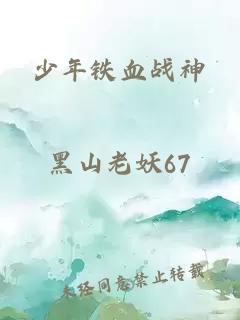 少年铁血战神