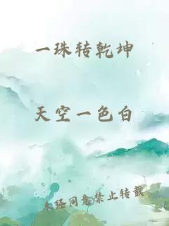 一珠转乾坤