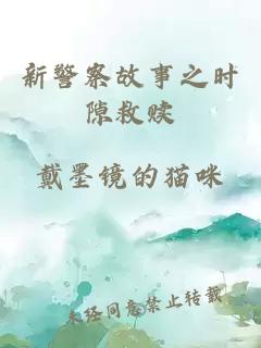 新警察故事之时隙救赎