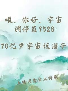 喂，你好，宇宙调停员9528