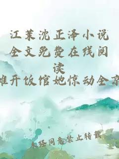 江茉沈正泽小说全文免费在线阅读