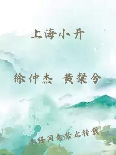 上海小开