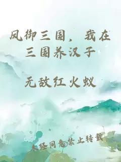 凤御三国，我在三国养汉子