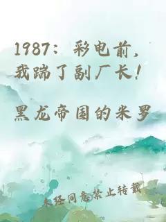 1987：彩电前，我踹了副厂长！