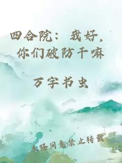 四合院：我好，你们破防干嘛