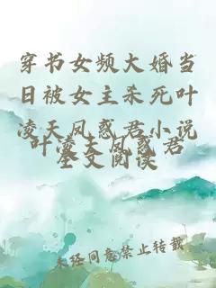 穿书女频大婚当日被女主杀死叶凌天凤惑君小说全文阅读