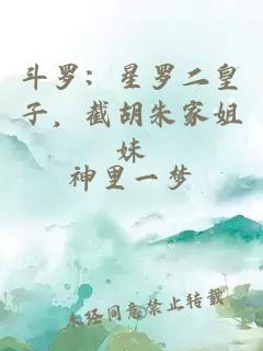 斗罗：星罗二皇子，截胡朱家姐妹