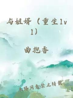 与姐婿（重生1v1）