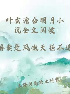 叶玄澹台明月小说全文阅读