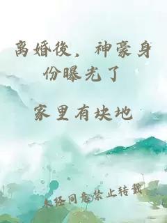 离婚後，神豪身份曝光了