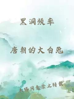 黑洞频率
