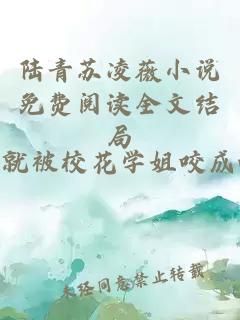 陆青苏凌薇小说免费阅读全文结局