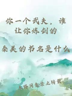 你一个武夫，谁让你炼剑的