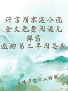 许言周京延小说全文免费阅读无弹窗