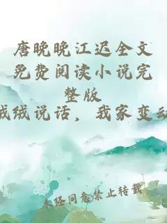 唐晚晚江迟全文免费阅读小说完整版