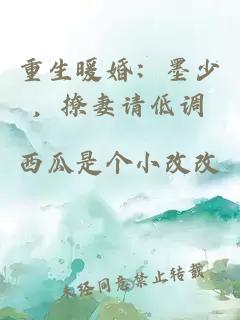 重生暖婚：墨少，撩妻请低调