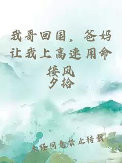 我哥回国，爸妈让我上高速用命接风