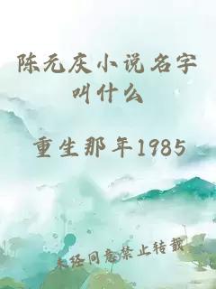 陈元庆小说名字叫什么