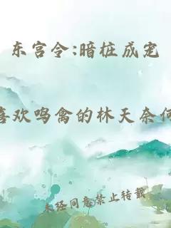 东宫令:暗桩成宠