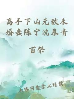 高手下山无敌未婚妻陈宁沈慕青