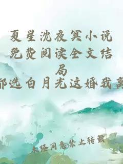 夏星沈夜冥小说免费阅读全文结局