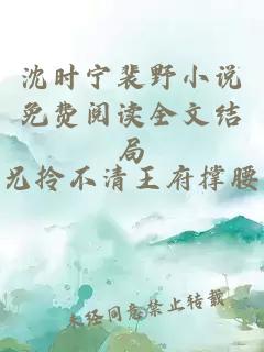 沈时宁裴野小说免费阅读全文结局