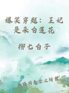 爆笑穿越：王妃是朵白莲花