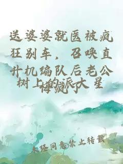 送婆婆就医被疯狂别车，召唤直升机编队后老公悔疯了